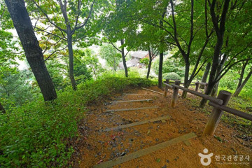 효석 달빛언덕 여행 추천 - 메고지고