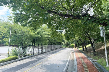 나리농원 여행 추천 - 메고지고