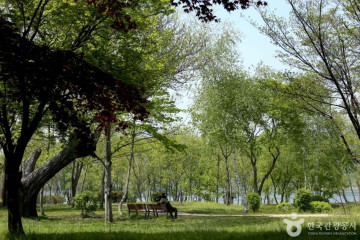 양서문화체육공원 여행 추천 - 메고지고