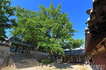 서산 동문동 성당 여행 추천 - 메고지고