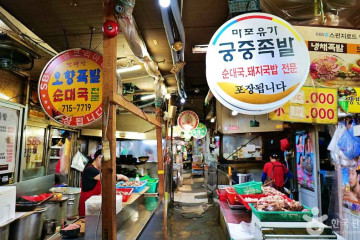 마포문화원 여행 추천 - 메고지고