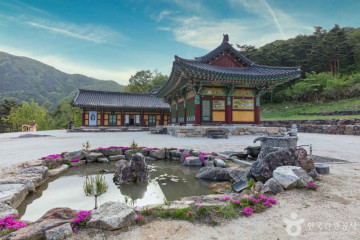 양양 진전사지 삼층석탑 여행 추천 - 메고지고