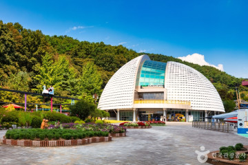청주동물원 여행 추천 - 메고지고