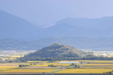 DMZ 두루미 평화타운(구 철새마을) 여행 추천 - 메고지고