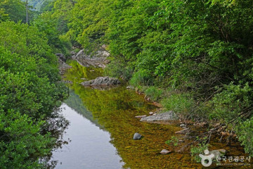 삼가저수지 여행 추천 - 메고지고