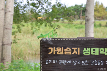 용산서원(동해) 여행 추천 - 메고지고