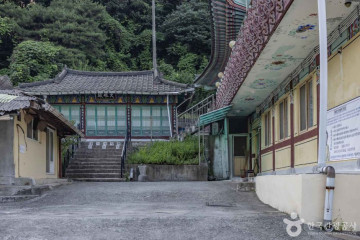 청원 연꽃마을 여행 추천 - 메고지고