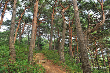 응봉 여행 추천 - 메고지고