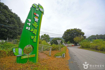 소노카페 오토캠핑장 여행 추천 - 메고지고