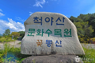 트리하우스계곡야영장 여행 추천 - 메고지고
