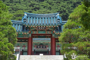 아산곡교천야영장 여행 추천 - 메고지고