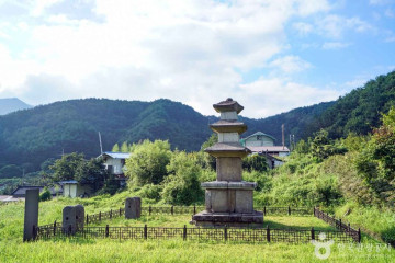대포숲 여행 추천 - 메고지고