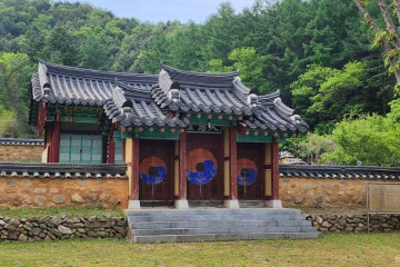 강아지숲 여행 추천 - 메고지고
