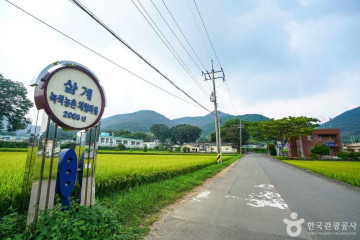 바다공룡 워케이션 여행 추천 - 메고지고