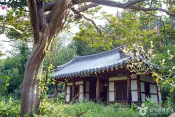 유농오토캠핑장 여행 추천 - 메고지고