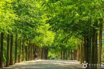 앞산자락길 여행 추천 - 메고지고