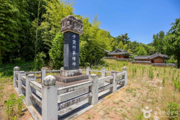 경북대학교자연사박물관 여행 추천 - 메고지고