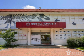 제동서원 여행 추천 - 메고지고