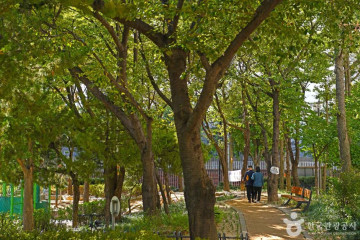 키위스파랜드 여행 추천 - 메고지고