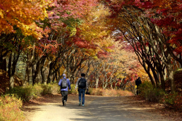 국립중앙청소년수련원 여행 추천 - 메고지고