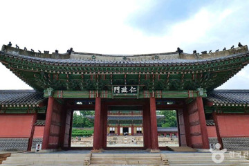 창덕궁 향나무 여행 추천 - 메고지고