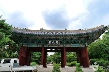 세화미술관 여행 추천 - 메고지고
