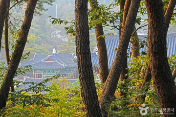 한국문화연수원 여행 추천 - 메고지고