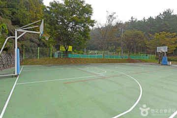 메타세콰이어길 여행 추천 - 메고지고