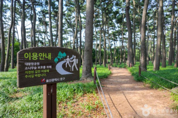 울기등대 여행 추천 - 메고지고