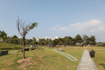 점핑고 여행 추천 - 메고지고