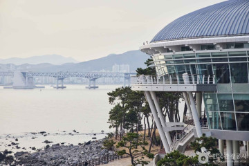 동백공원 여행 추천 - 메고지고