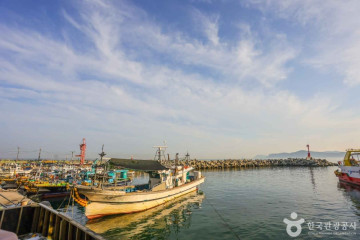 [해파랑길] 2코스 여행 추천 - 메고지고