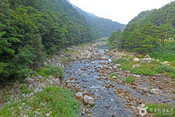 적가리골 여행 추천 - 메고지고