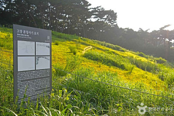 복분자유원지 여행 추천 - 메고지고