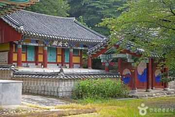 오늘의 딸기 여행 추천 - 메고지고