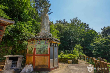 부산점자도서관 여행 추천 - 메고지고