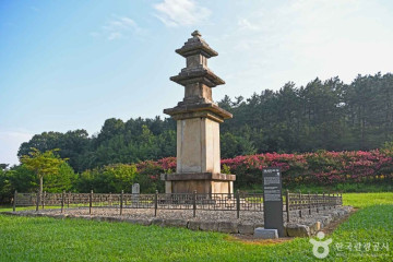 창동서원 여행 추천 - 메고지고