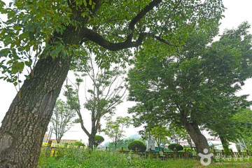 운교리 삼각주 퇴적층 여행 추천 - 메고지고