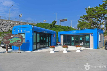 장자도 여행 추천 - 메고지고