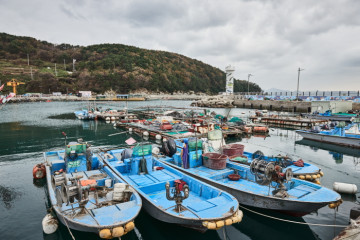 대항선착장 여행 추천 - 메고지고