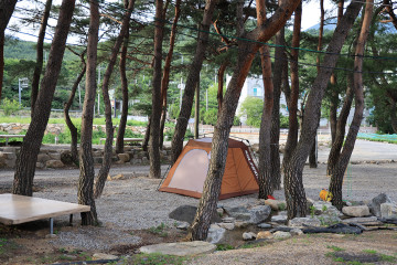 더캠프 여행 추천 - 메고지고