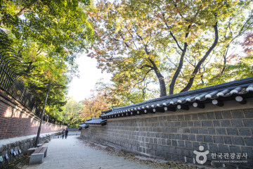 국립현대미술관 덕수궁 여행 추천 - 메고지고