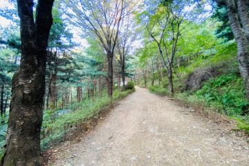 보적사(오산) 여행 추천 - 메고지고