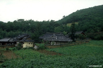 고성 장산숲 여행 추천 - 메고지고