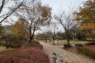 문화철도959 여행 추천 - 메고지고