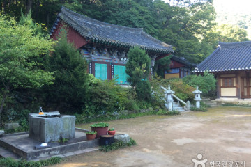불정자연휴양림 여행 추천 - 메고지고