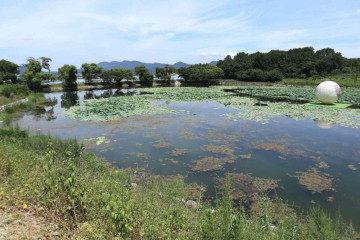 제석사(경산) 여행 추천 - 메고지고
