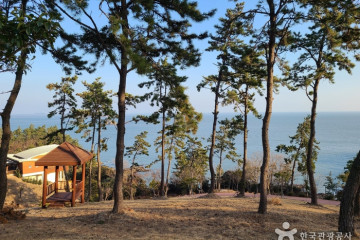 진도 현대미술관 여행 추천 - 메고지고