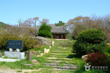 숲속의베리팜 여행 추천 - 메고지고