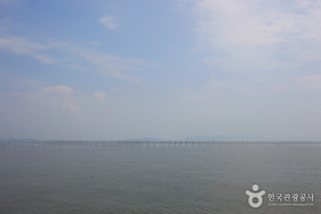 압해대교 여행 추천 - 메고지고